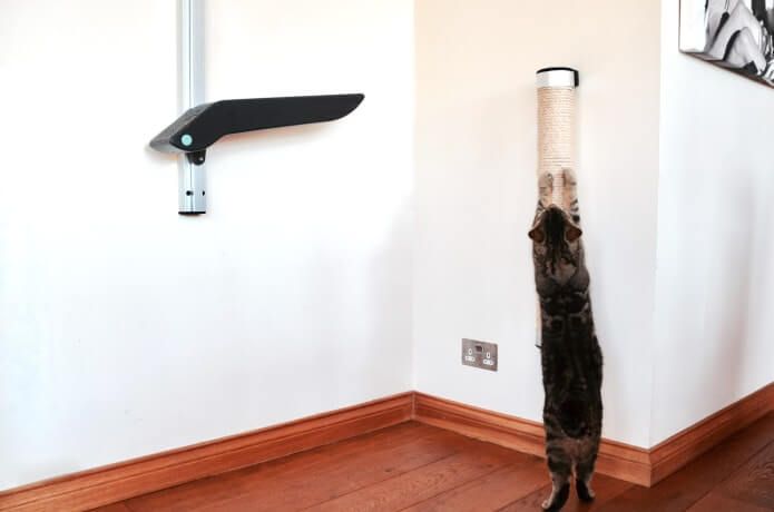 wall mounted cat scratcer product design