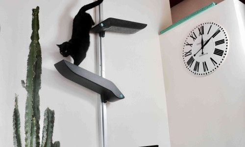 Catipilla cat climbing product